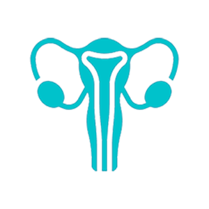 OB-GYN Billing