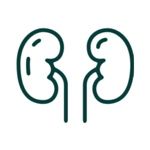 Urology Medical Billing